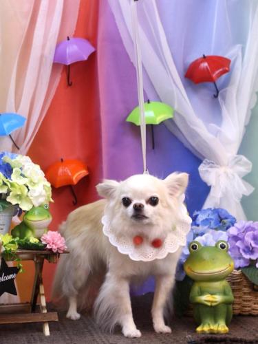 20230613りゅうくん